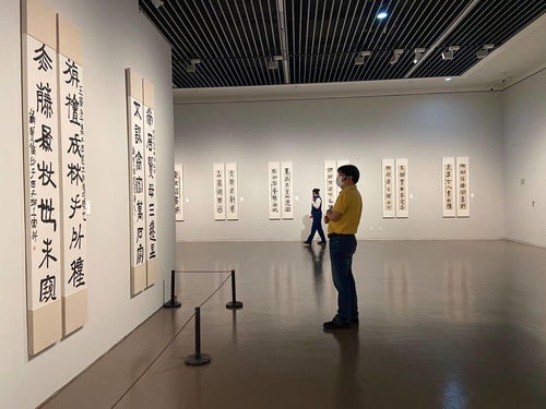 沉雄博大的文化自信 中华艺术宫书法展启幕